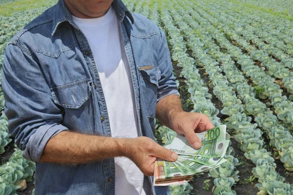 農家が背景の有機キャベツ畑でユーロ紙幣を保持します — ストック写真