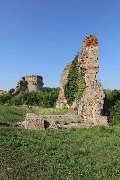 Bac Fortaleza Medieval Sérvia Voivodina Concluída Século Xiv Destruída Século — Fotografia de Stock