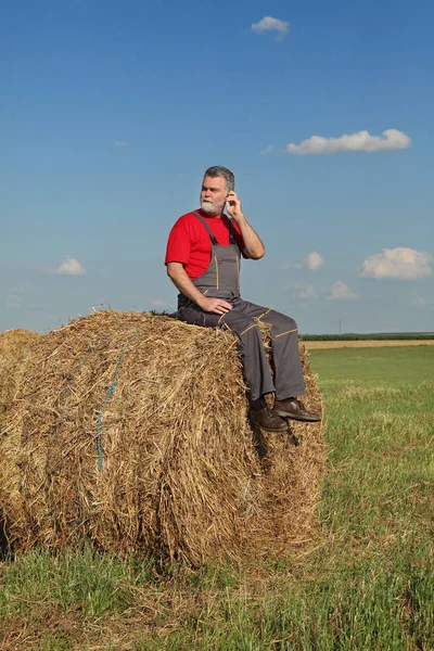 Boer Achter Baal Hooi Veld Met Behulp Van Mobiele Telefoon — Stockfoto