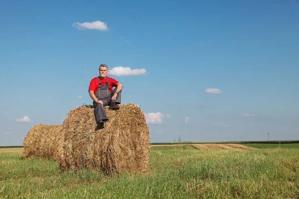 Boer Achter Baal Hooi Veld — Stockfoto