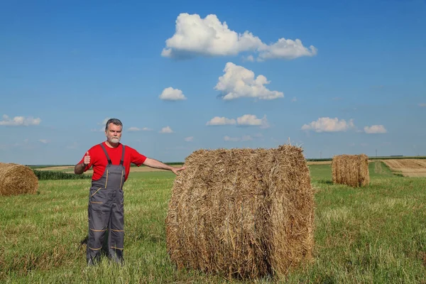 Boer Hooi Veld Met Bale Gebaren Duim Omhoog — Stockfoto