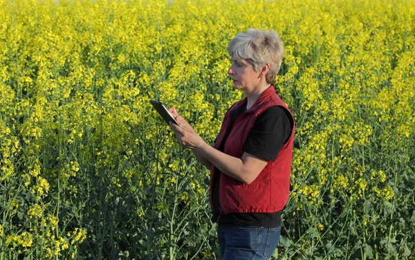 Agronomista Agricultor Examinar Florescendo Canola Campo Colza Planta Usando Tablet — Fotografia de Stock