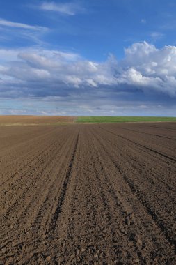 Erken ilkbaharda, yer ve gök bulutlar ile ekili alana