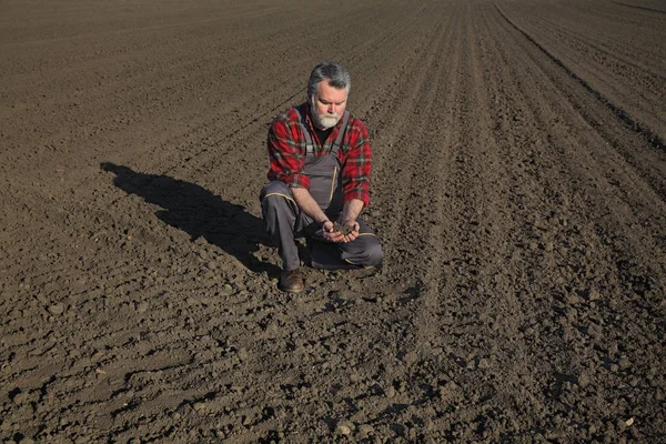 Çiftçi Ziraat Mühendisi Incelemek Toprak Alanında Kalitesini — Stok fotoğraf