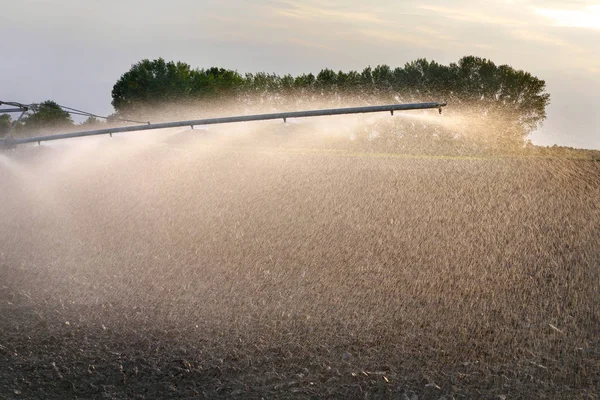 Nawadniania Pól Uprawnych Wczesną Wiosną Nawadniania Wyposażenie Rozprysku Wody Ziemi — Zdjęcie stockowe