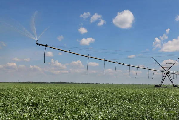 Bevattningssystem För Vattenförsörjning Pea Fält — Stockfoto