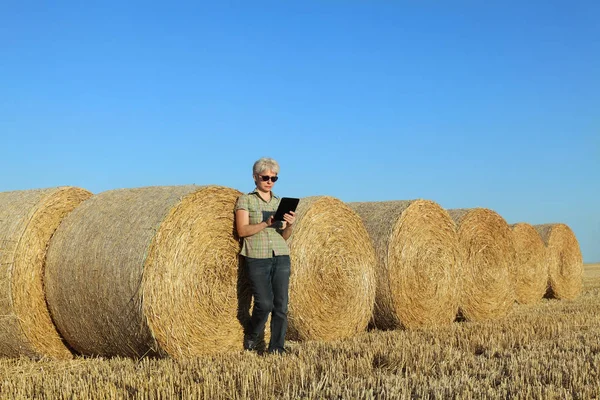 Samice Zemědělce Pšeničné Pole Sklizni Zkoumání Bale Válcované Sláma Pomocí — Stock fotografie