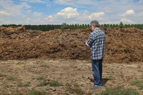 Agricultor Agrónomo Examinando Montón Estiércol Vaca Listo Para Usar Campo — Foto de Stock