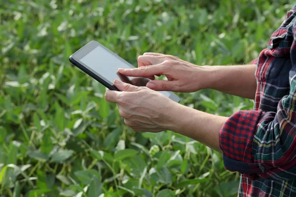 Kadın Çiftçi Veya Tablet Kullanarak Alanı Yeşil Soya Tesisi Inceleyerek — Stok fotoğraf