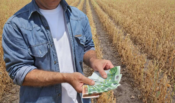 Agricultor Detentor Nota Euro Com Campo Soja Pronto Para Colheita — Fotografia de Stock