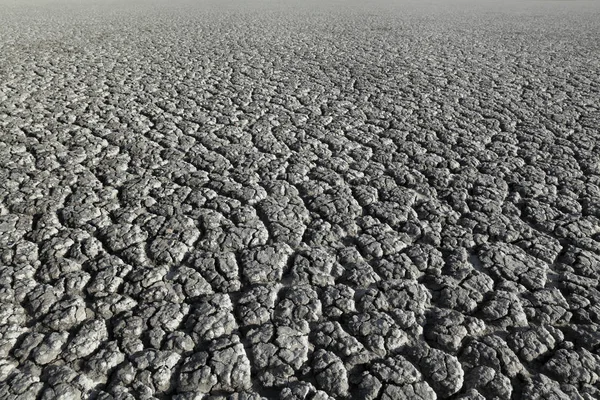 Texturizado Terra Rachada Seca Após Seca Desastre Natural — Fotografia de Stock