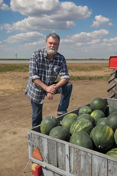 Coltivatore Adulto Sorridente Che Vende Angurie Mercato Degli Agricoltori Rimorchio — Foto Stock