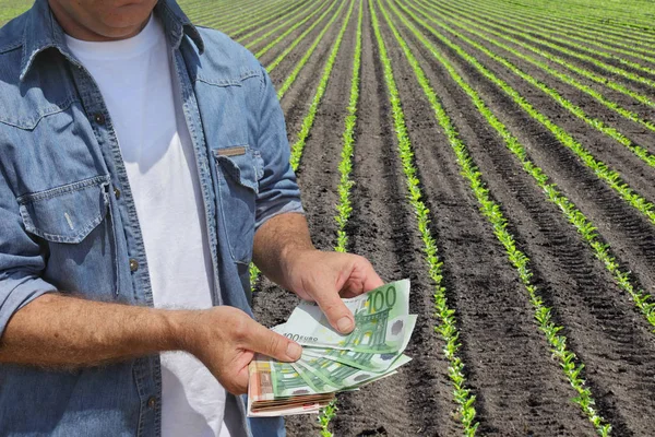 Fermier Tenant Billet Euros Avec Champ Soja Cultivé Vert Arrière — Photo