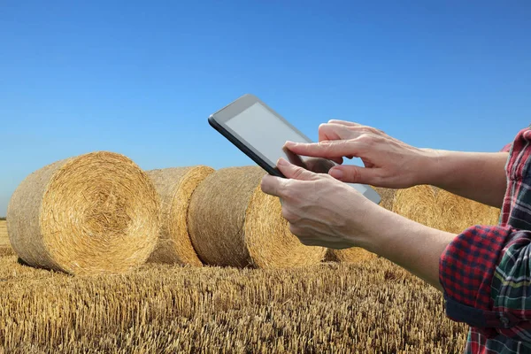 Female Farmer Agronomist Wheat Field Harvest Examining Bale Rolled Straw — Stock Photo, Image