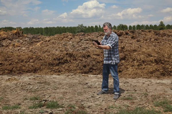 Farmer Agronomist Examining Heap Cow Dung Field Using Tablet Calculate — Stock Photo, Image