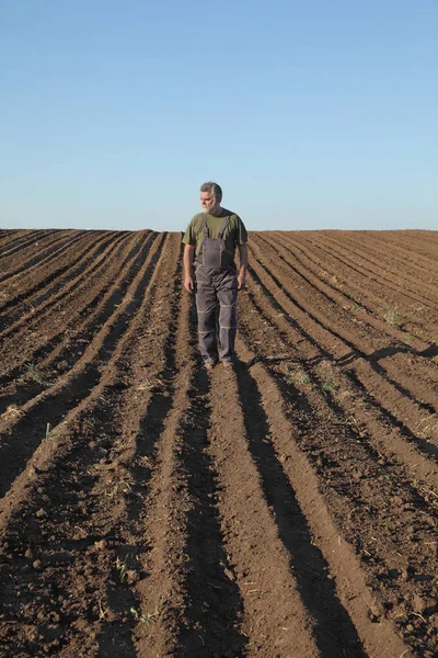Landwirt Geht Auf Bestelltem Feld Zur Aussaat Und Begutachtet — Stockfoto