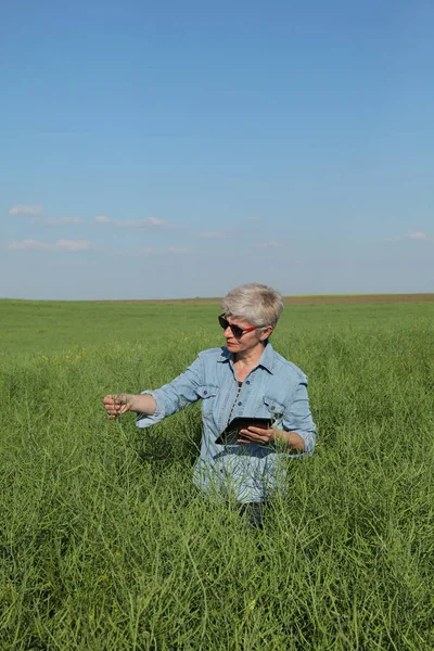 Женщина Агроном Фермер Изучающая Зеленое Поле Канолы Растение Рапса Весной — стоковое фото