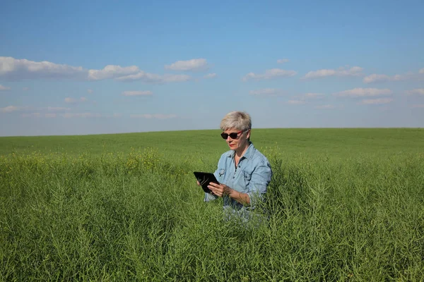Female Agronomist Farmer Examining Green Canola Field Using Tablet Rapeseed — Stock Photo, Image