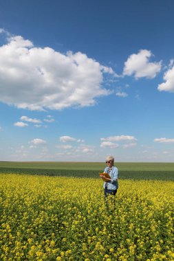 Ziraat Mühendisi veya çiftçi muayene çiçek açması kanola alan ve yazma, kolza tohumu bitki erken bahar