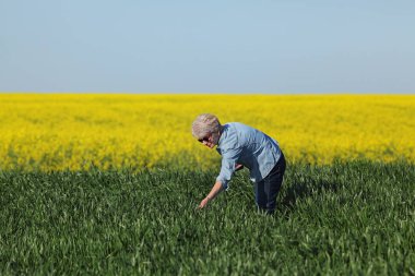 Kadın çiftçi ya da erken bahar kanola alan arka plan buğday kalitesini teftiş ziraat mühendisi