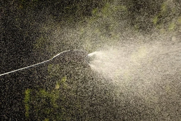 Spraying Plants Orchard Spring Early Summer Plant Protection Nutrition Work — Stock Photo, Image