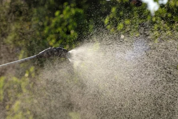 Spraying Plants Orchard Spring Early Summer Plant Protection Nutrition Work — Stock Photo, Image