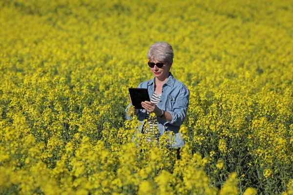 雌农艺师或农夫在早春用片剂 油菜籽植物检测开花油菜田 — 图库照片