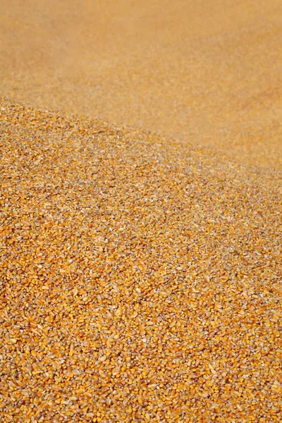 玉米背景 收获后的玉米作物堆 选择性聚焦 — 图库照片