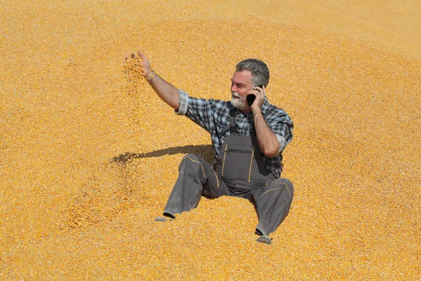 Corn Skörd Bonde Högen Gröda Kasta Utsäde Från Hand Och — Stockfoto