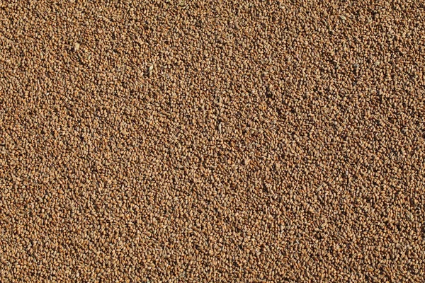 Пшеничний Фон Купа Пшеничного Врожаю Після Збору Врожаю — стокове фото
