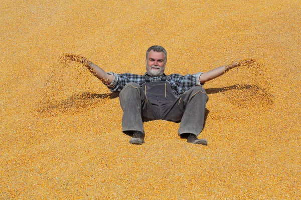 Cheerful Smiling Farmer Laying Heap Corn Crop Harvest Throwing — Stock Photo, Image