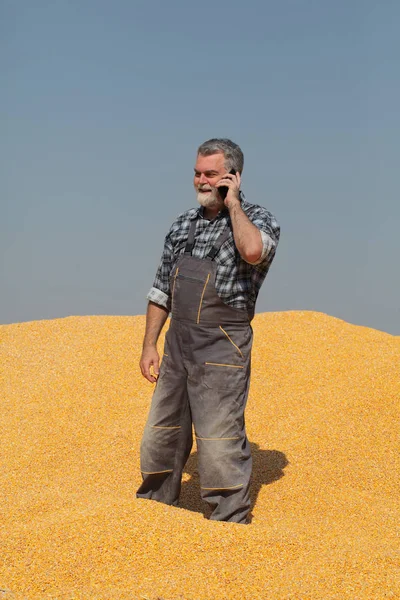 Sklizeň Kukuřice Farmář Hromadu Plodin Mluví Mobilní Telefon Usmívá — Stock fotografie