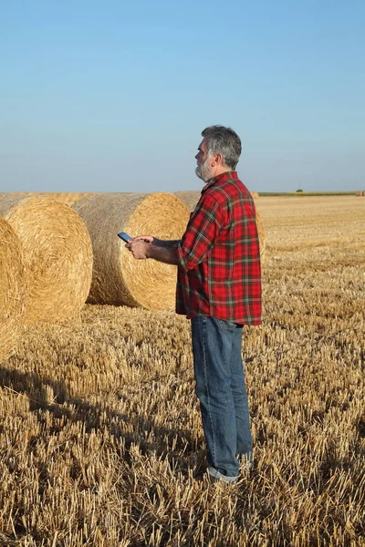 Agricultor Agrónomo Campo Trigo Después Cosecha Examinando Paca Paja Enrollada —  Fotos de Stock