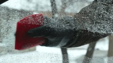 Sürücü ön cam sıyırıcı, closeup buz el ve araç kullanarak arabanın üzerinden kar temizleme
