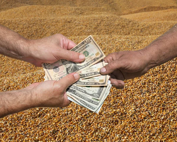 农夫和买家手拿着美元钞票 玉米作物在背景下 — 图库照片