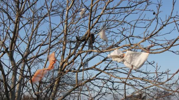 Забруднення Природи Пластикові Сумки Дереві Блакитним Небом Фоні — стокове відео