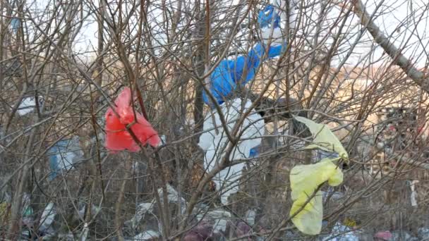 Pollution de la nature, sacs à provisions en plastique dans les arbres et les buissons, vidéo 4K 