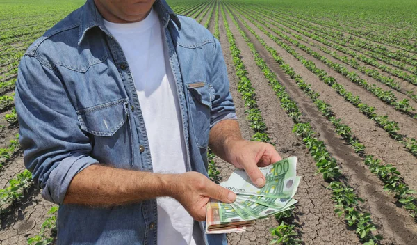 Conceito agrícola, agricultor, dinheiro e campo de soja — Fotografia de Stock