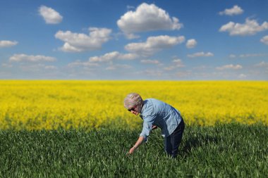Tarım, çiftçi, buğday tarlası, kolza bitkiler ile inceleniyor