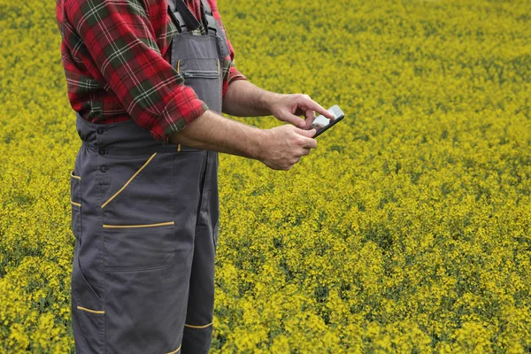 Farmer or agronomist inspecting blossoming rapeseed field — Stock Photo, Image