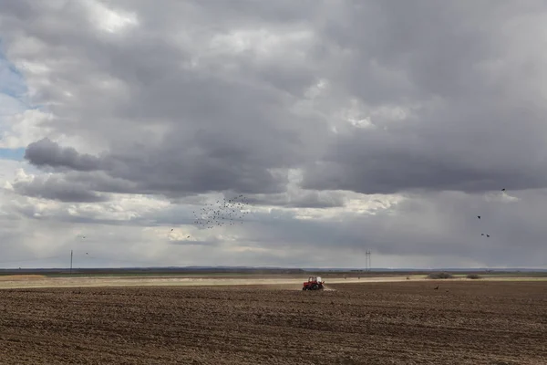 Landbouw, tractor ploeg veld in de lente — Stockfoto