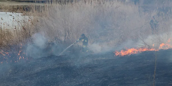 Fire in marsh, natural disaster