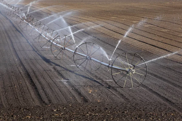 Cultivated field watering in early spring — Stock Photo, Image