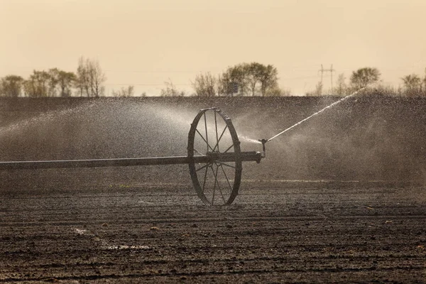 Gecultiveerd gebied het water geven in de vroege lente — Stockfoto