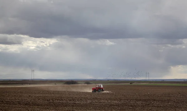 Landbouw, tractor ploeg veld in de lente — Stockfoto