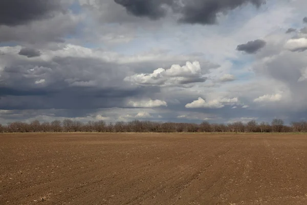 Landbouw, gecultiveerd gebied met donkere wolken in de lente — Stockfoto