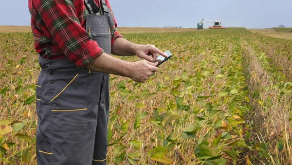 Cosecha del campo de soja y agricultor o agrónomo — Foto de Stock