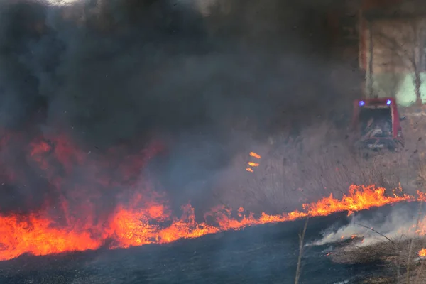 Požár v bažině, přírodní katastrofě — Stock fotografie