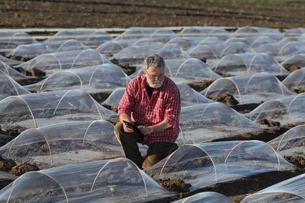 Watermeloen of meloen planten in veld en boer — Stockfoto