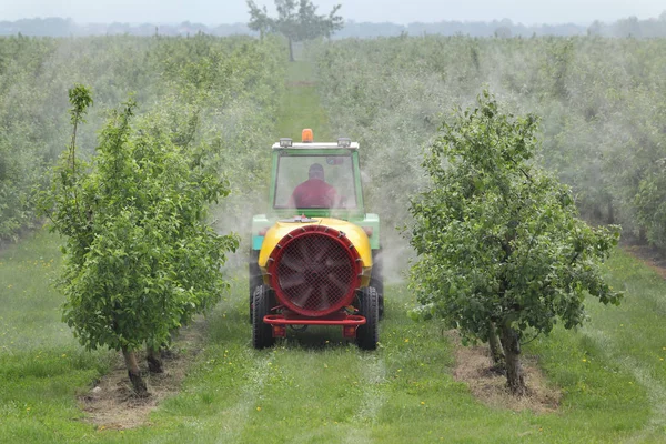 Traktor sprüht Insektizid oder Fungizid in Pfirsichplantage — Stockfoto